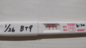 BT9フライング検査陽性の写真